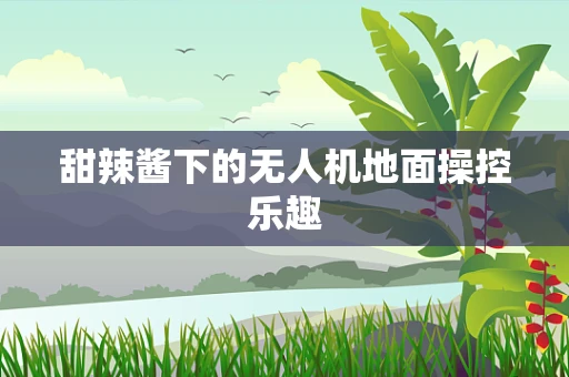 甜辣酱下的无人机地面操控乐趣
