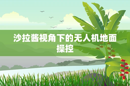 沙拉酱视角下的无人机地面操控