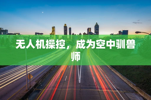 无人机操控，成为空中驯兽师