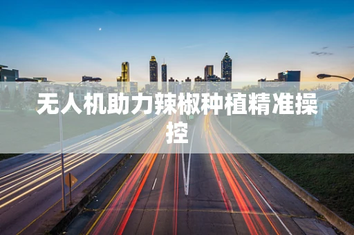 无人机助力辣椒种植精准操控