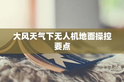 大风天气下无人机地面操控要点