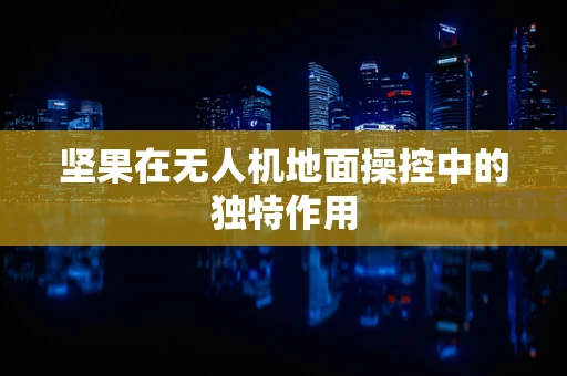 坚果在无人机地面操控中的独特作用