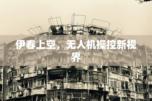 伊春上空，无人机操控新视界