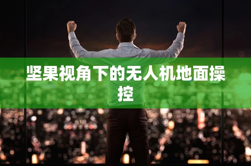 坚果视角下的无人机地面操控
