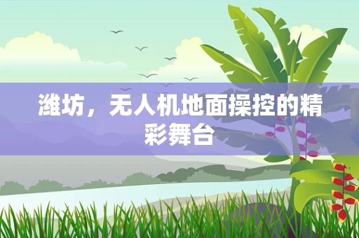 潍坊，无人机地面操控的精彩舞台