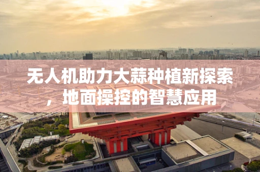 无人机助力大蒜种植新探索，地面操控的智慧应用