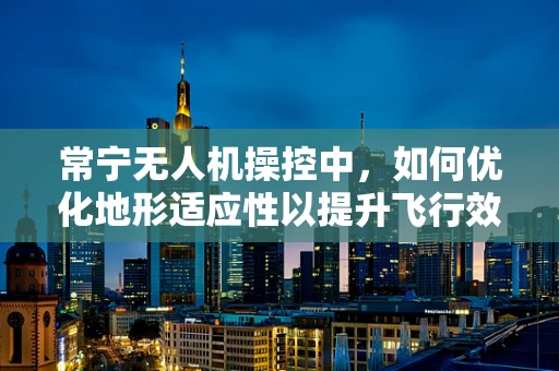 常宁无人机操控中，如何优化地形适应性以提升飞行效率？
