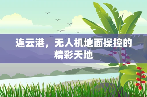 连云港，无人机地面操控的精彩天地