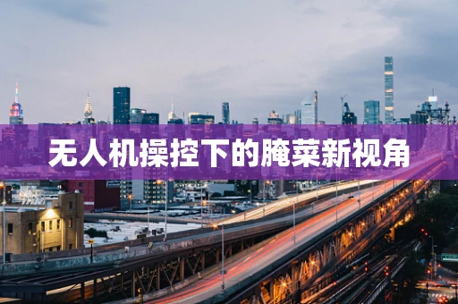无人机操控下的腌菜新视角