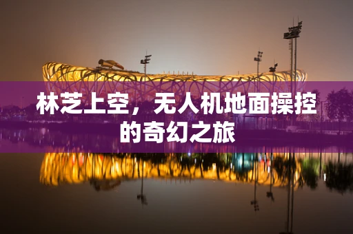 林芝上空，无人机地面操控的奇幻之旅