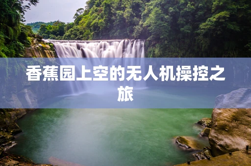 香蕉园上空的无人机操控之旅