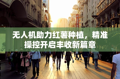 无人机助力红薯种植，精准操控开启丰收新篇章