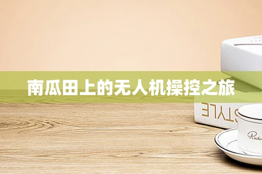 南瓜田上的无人机操控之旅