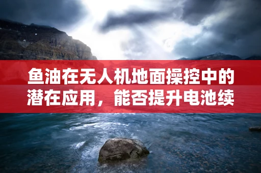 鱼油在无人机地面操控中的潜在应用，能否提升电池续航力？