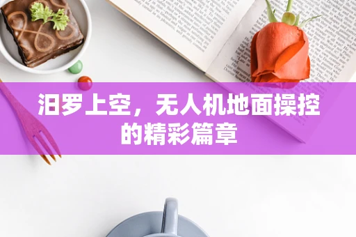 汨罗上空，无人机地面操控的精彩篇章