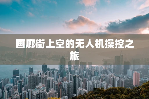 画廊街上空的无人机操控之旅