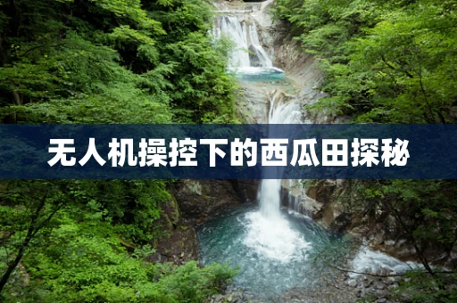无人机操控下的西瓜田探秘
