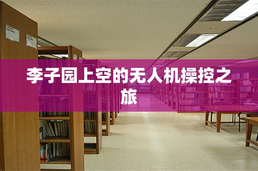 李子园上空的无人机操控之旅