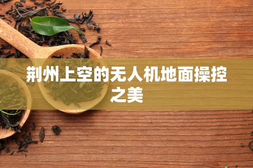 荆州上空的无人机地面操控之美
