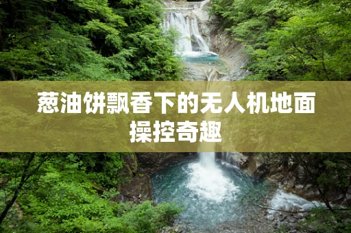 葱油饼飘香下的无人机地面操控奇趣