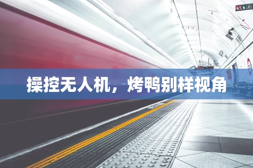 操控无人机，烤鸭别样视角