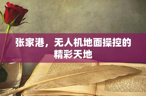 张家港，无人机地面操控的精彩天地