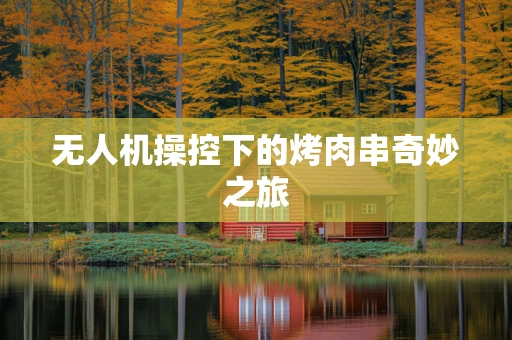 无人机操控下的烤肉串奇妙之旅