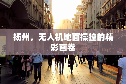 扬州，无人机地面操控的精彩画卷