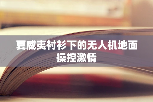 夏威夷衬衫下的无人机地面操控激情