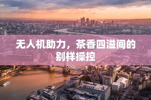 无人机助力，茶香四溢间的别样操控