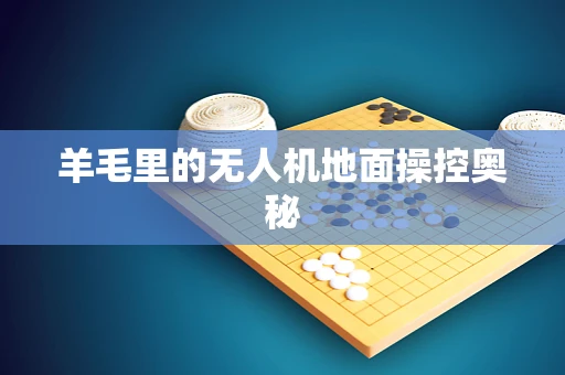 羊毛里的无人机地面操控奥秘
