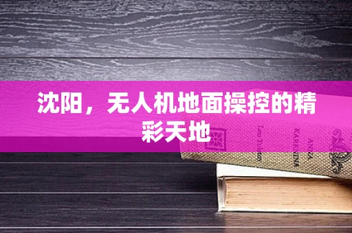 沈阳，无人机地面操控的精彩天地