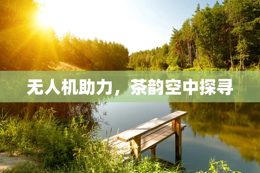 无人机助力，茶韵空中探寻