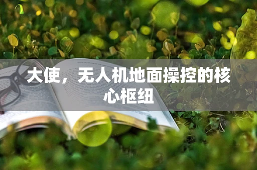 大使，无人机地面操控的核心枢纽