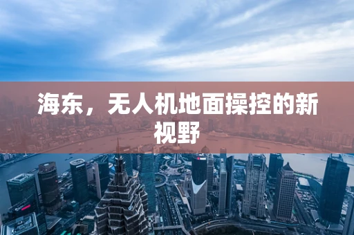海东，无人机地面操控的新视野
