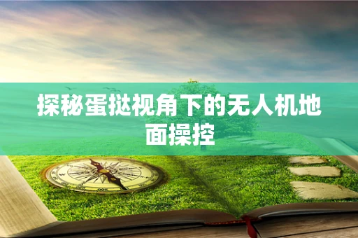 探秘蛋挞视角下的无人机地面操控