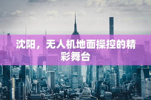 沈阳，无人机地面操控的精彩舞台