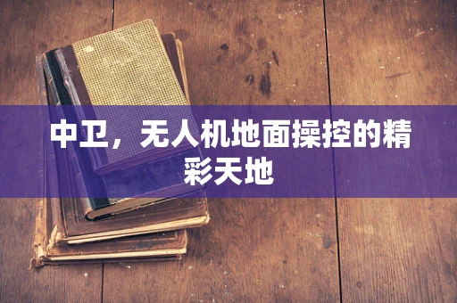 中卫，无人机地面操控的精彩天地