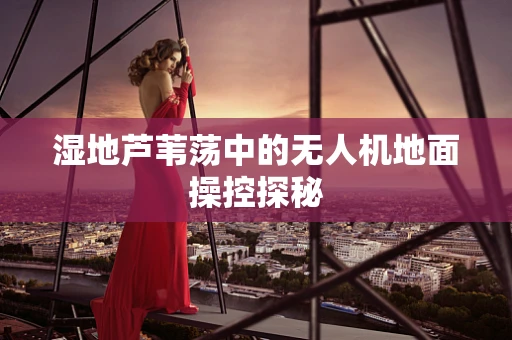 湿地芦苇荡中的无人机地面操控探秘