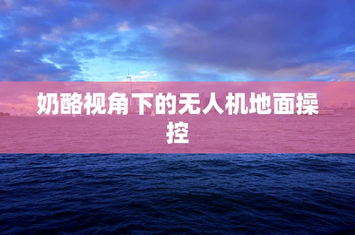奶酪视角下的无人机地面操控