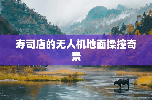 寿司店的无人机地面操控奇景