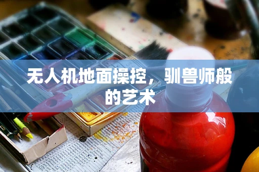 无人机地面操控，驯兽师般的艺术