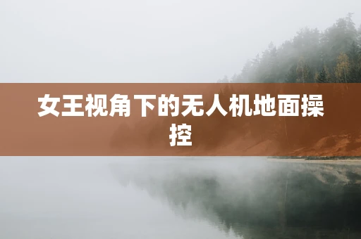 女王视角下的无人机地面操控