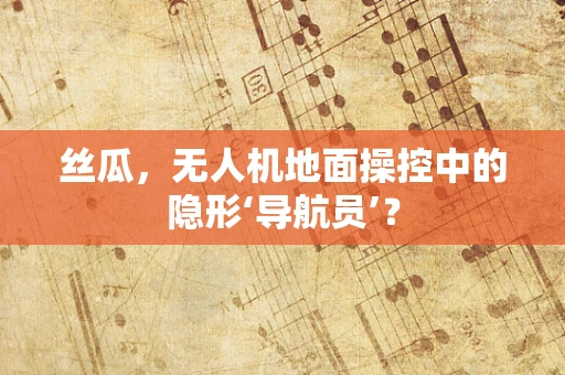 丝瓜，无人机地面操控中的隐形‘导航员’？