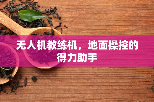无人机教练机，地面操控的得力助手