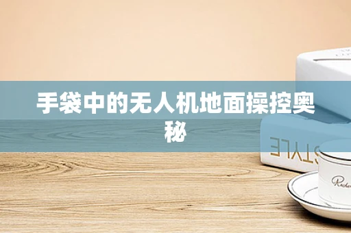 手袋中的无人机地面操控奥秘