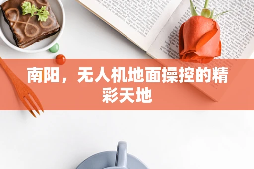南阳，无人机地面操控的精彩天地