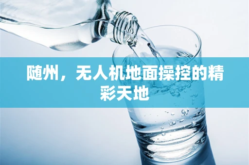随州，无人机地面操控的精彩天地