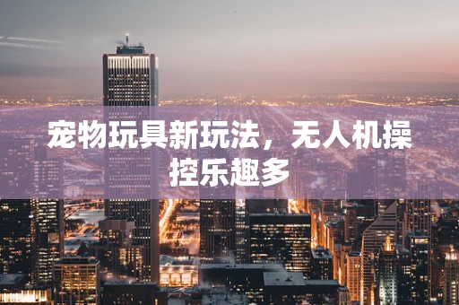 宠物玩具新玩法，无人机操控乐趣多