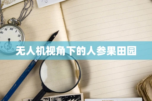 无人机视角下的人参果田园